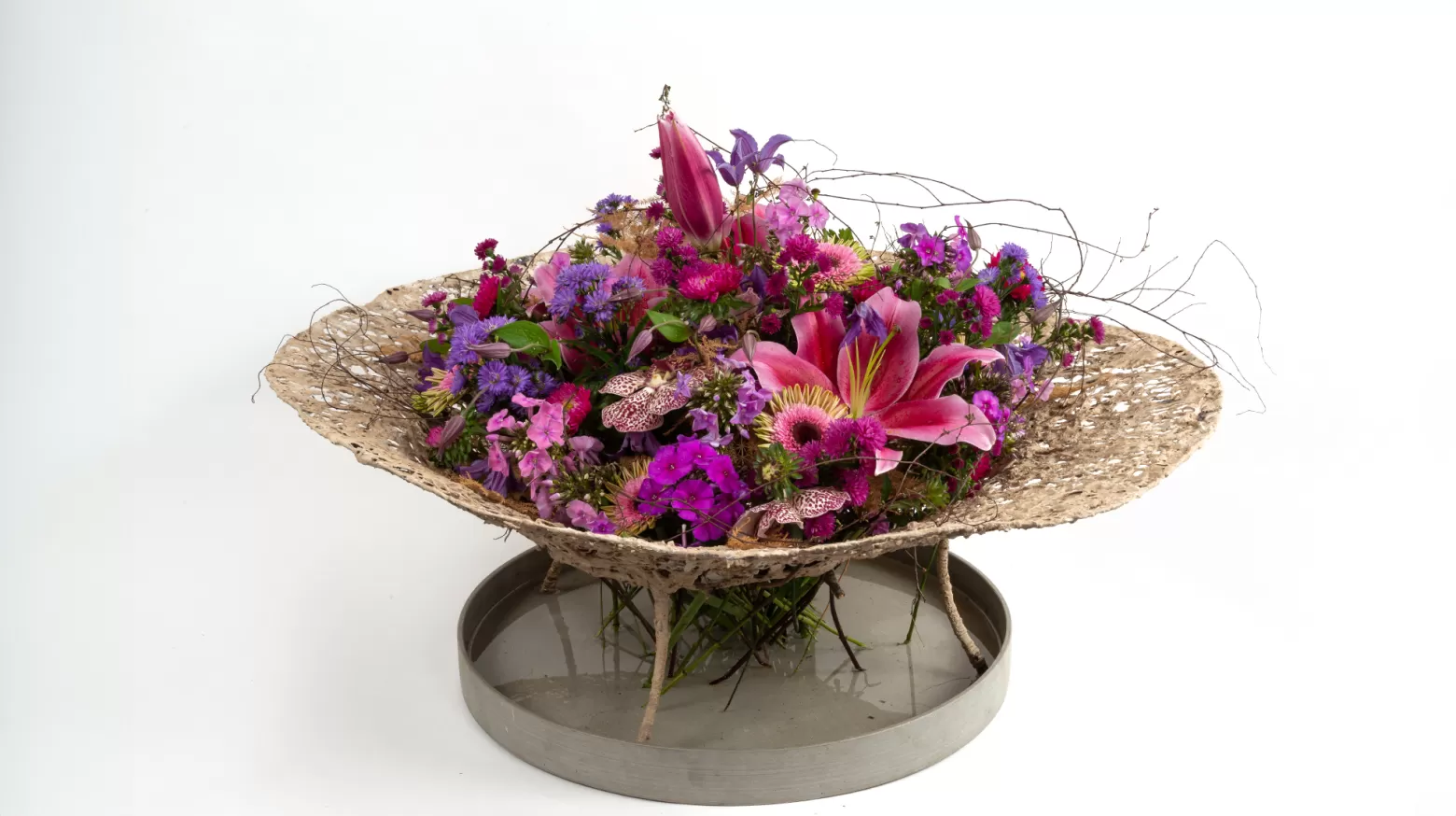 Phlox Pink Eyes | Marginpar